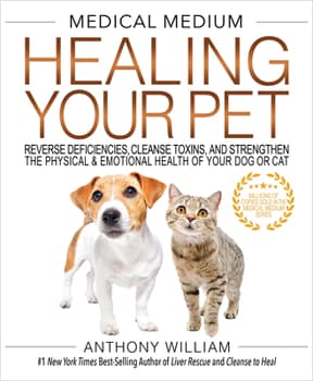 Medical Medium Healing Your Pet: Reverse Deficiencies, Cleanse Toxins, and Strengthen the Physical & Emotional Health of Your Dog or Cat
