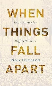 When Things Fall Apart: Heart Advice for Difficult Times